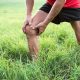 Beneficios de la terapia de células madre en el tratamiento de la artrosis de rodilla